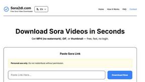 Sora Video Downloader - AI tool for productivity